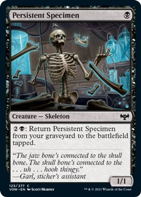 Persistent Specimen | VOW