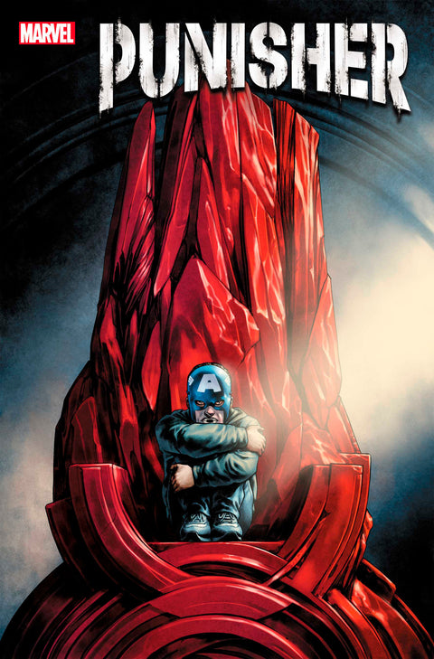 The Punisher, Vol. 13