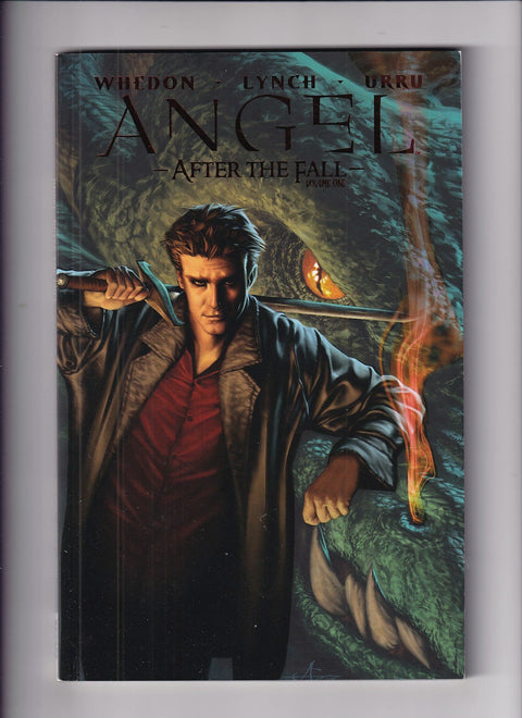 Angel: After the Fall TP #1TP