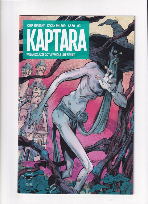 Kaptara #3