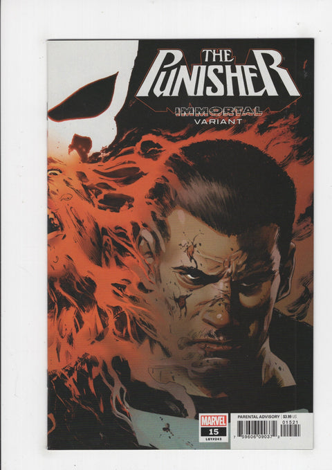 The Punisher, Vol. 12 15 Variant Butch Guice Immortal Wraparound Cover