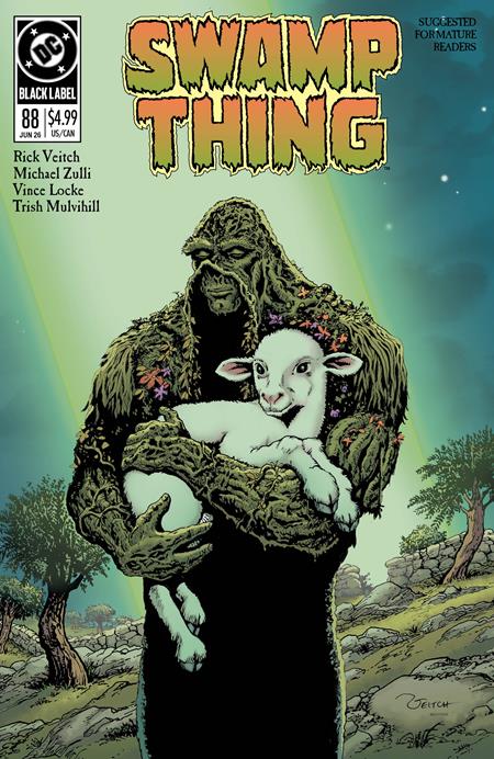 Swamp Thing 1989 1 Comic Rick Veitch DC Comics 2026
