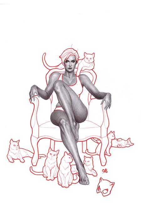 CATWOMAN #69 CVR B FRANK CHO CARD STOCK VAR DC Comics Torunn Gronbekk Fabiana Mascolo Frank Cho PREORDER