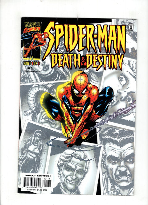 Spider-Man: Death & Destiny #1 (2000)