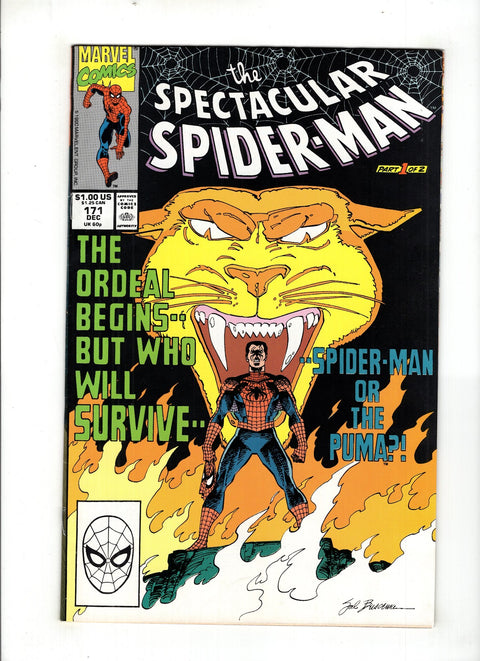The Spectacular Spider-Man, Vol. 1 #171 (1990)      Buy & Sell Comics Online Comic Shop Toronto Canada