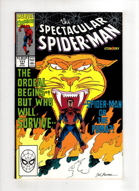 The Spectacular Spider-Man, Vol. 1 #171 (1990)     Buy & Sell Comics Online Comic Shop Toronto Canada
