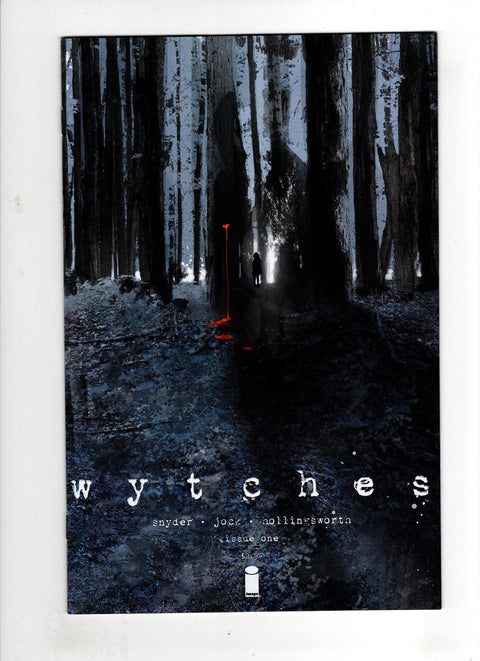Wytches #1 (Cvr A) (2014) Jock  A Jock  Buy & Sell Comics Online Comic Shop Toronto Canada