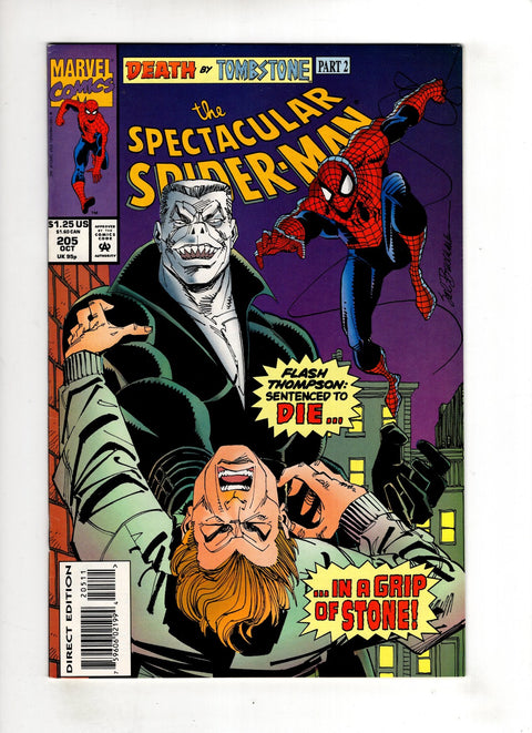 The Spectacular Spider-Man, Vol. 1 #205 (1993)     Buy & Sell Comics Online Comic Shop Toronto Canada