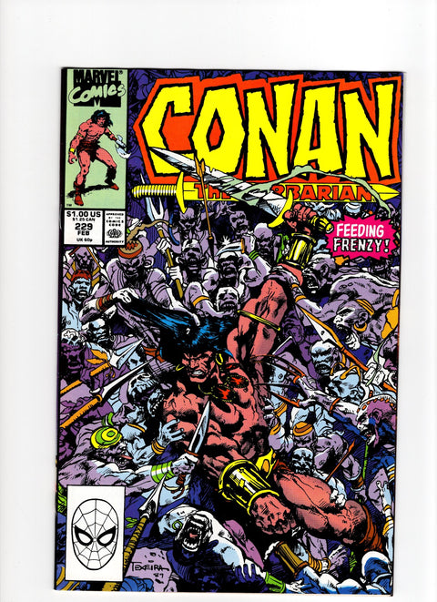 Conan the Barbarian, Vol. 1 #229 (1990)      Buy & Sell Comics Online Comic Shop Toronto Canada