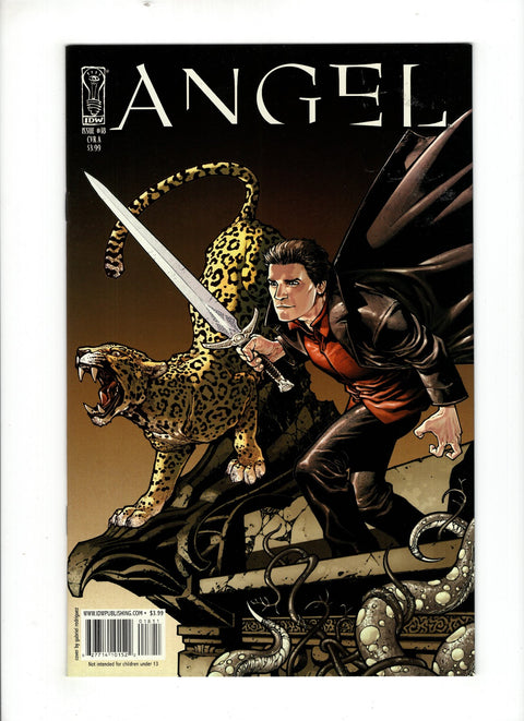 Angel: After the Fall #18 (Cvr A) (2009)   A   Buy & Sell Comics Online Comic Shop Toronto Canada