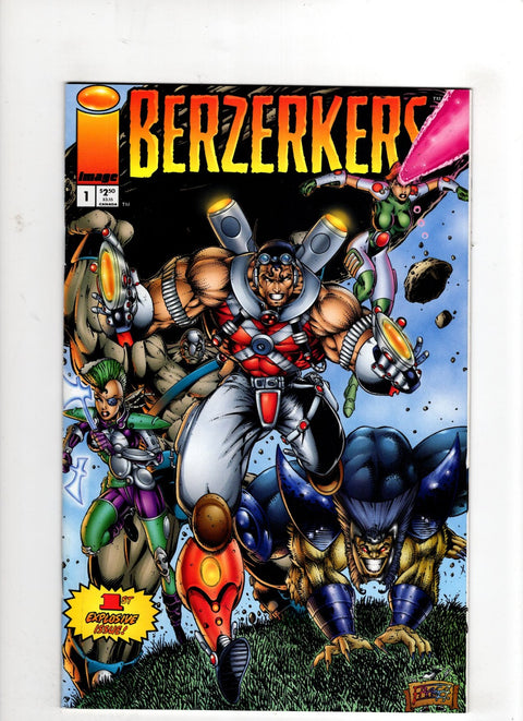 Berzerkers #1 (Cvr B) (1995) Dan Fraga Variant  B Dan Fraga Variant  Buy & Sell Comics Online Comic Shop Toronto Canada