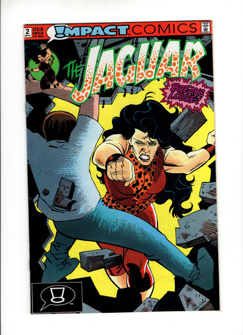 The Jaguar #2 (1991)      Buy & Sell Comics Online Comic Shop Toronto Canada
