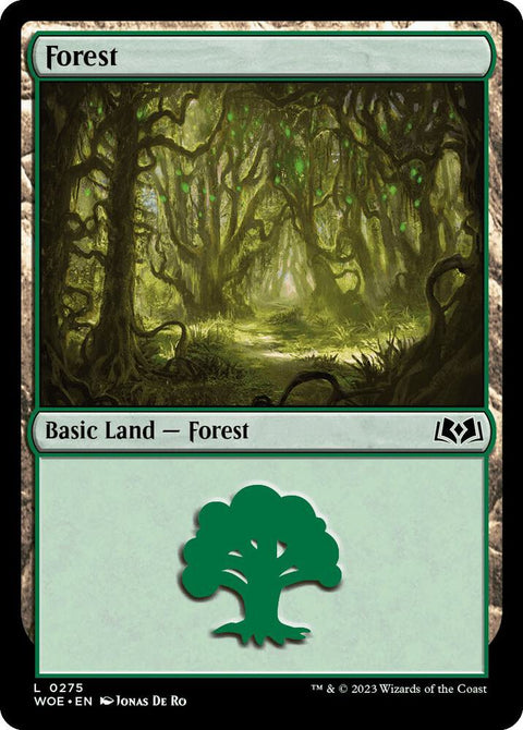 MTG | Forest | WOE | FOIL