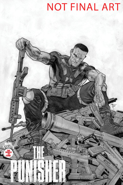 Marvel Knights: Punisher 2 Comic  Variant Marvel Comics 2025