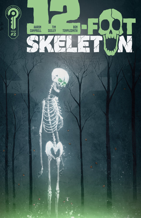 12-Foot Skeleton #2 Cover A Ben Templesmith Ignition Press Tim Seeley Ben Templesmith Ben Templesmith