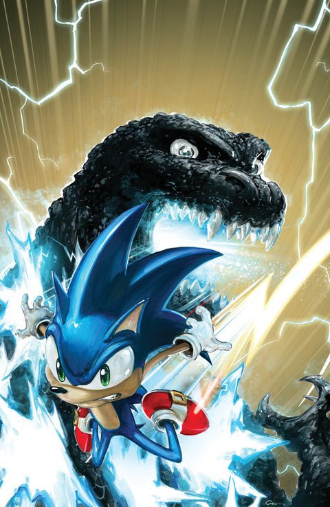Sonic the Hedgehog x Godzilla #1 Variant RI (100) (Crain Full Art) 1:100 IDW Publishing Nick Marino Jack Lawrence Clayton Crain