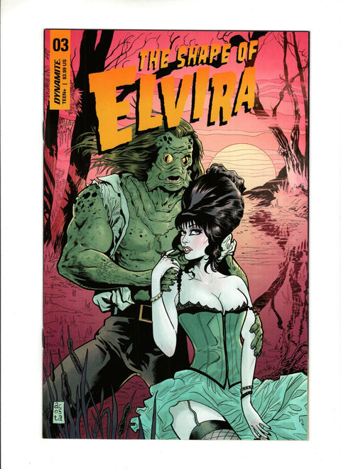 Elvira: The Shape Of Elvira #3 (Cvr C) (2019) Dave Acosta & Brian Level Cover  C Dave Acosta & Brian Level Cover  Buy & Sell Comics Online Comic Shop Toronto Canada