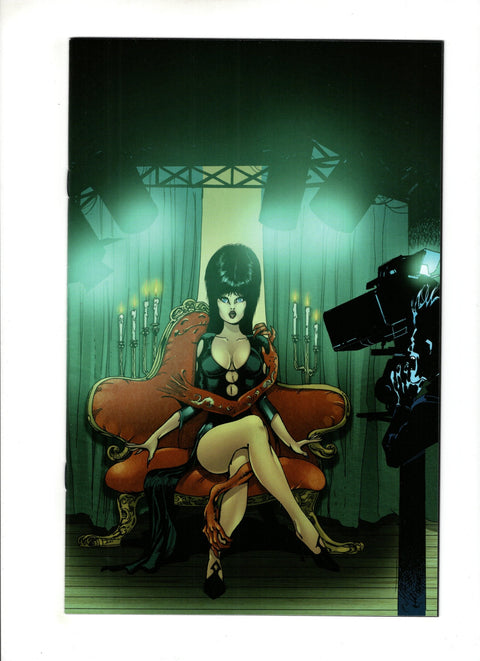 Elvira: Mistress Of The Dark (Dynamite Entertainment) #12 (Cvr J) (2020) Roberto Castro Virgin Cover  J Roberto Castro Virgin Cover  Buy & Sell Comics Online Comic Shop Toronto Canada