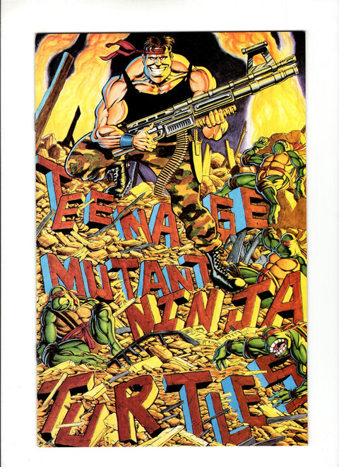 Teenage Mutant Ninja Turtles, Vol. 1 #34 (1991)      Buy & Sell Comics Online Comic Shop Toronto Canada