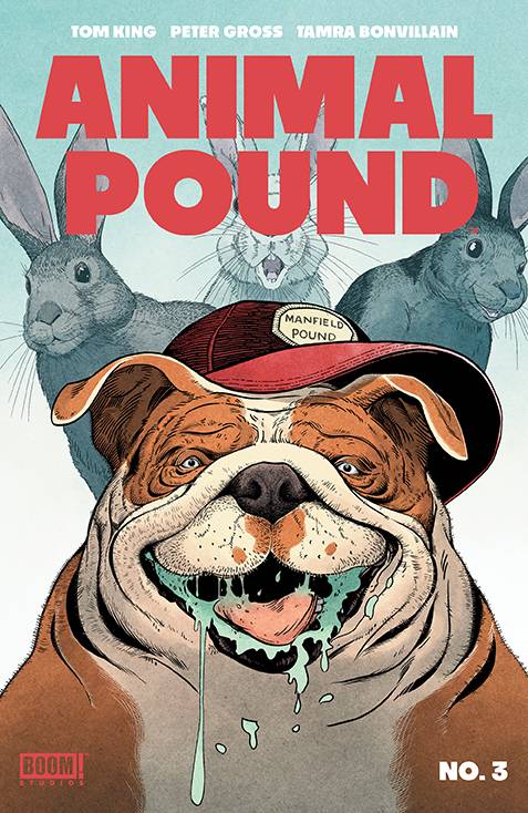 Animal Pound 3 Comic Peter Gross Regular Boom! Studios 2024