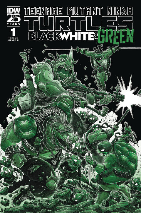 Teenage Mutant Ninja Turtles: Black, White & Green 1 Comic James Stokoe Variant IDW Publishing 2024