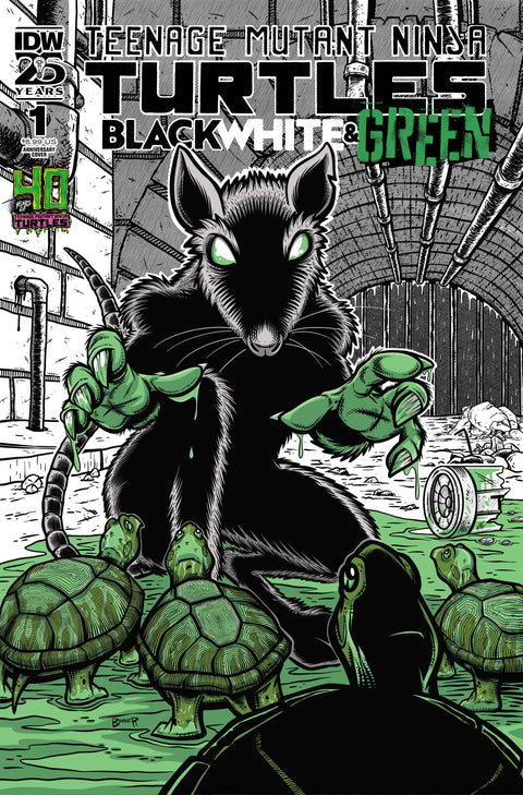 Teenage Mutant Ninja Turtles: Black, White & Green 1 Comic Dan Berger Variant IDW Publishing 2024