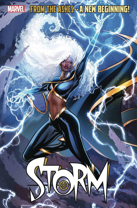 Storm, Vol. 5 1 Comic Lucas Werneck Variant Marvel Comics 2024