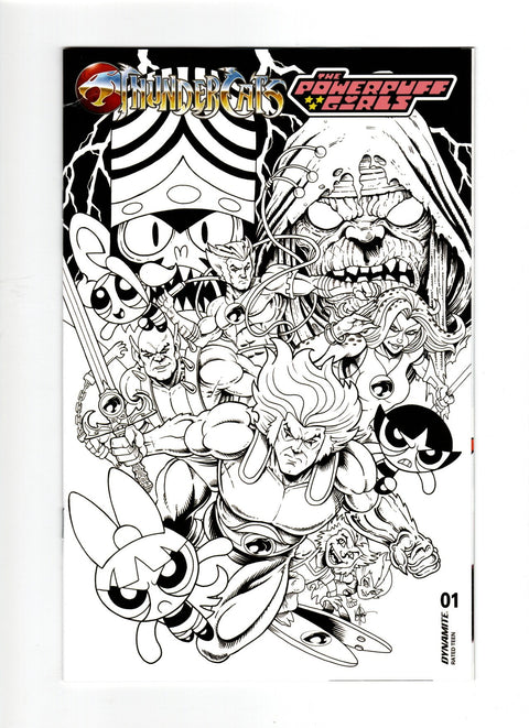 Thundercats / The Powerpuff Girls #1 (Cvr O) (2025) 1:5 Ken Haeser Incentive B&W