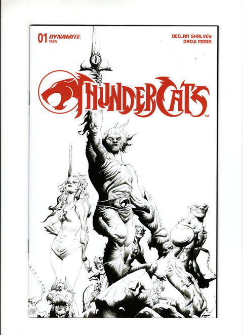 Thundercats (Dynamite Entertainment) #1T (2024) 1:25 Jae Lee Line Art Variant