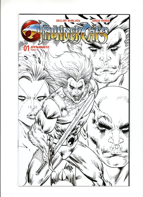 Thundercats (Dynamite Entertainment) #1ZG (2024) 1:10 FOC Liefeld Sketch