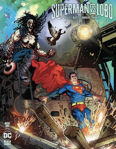 Superman Vs. Lobo #1C