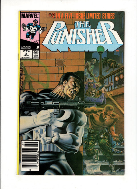 The Punisher, Vol. 1 #2B