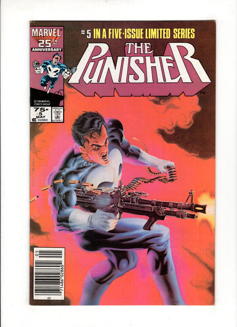 The Punisher, Vol. 1 #5B