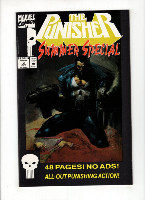 The Punisher Summer Special #2A