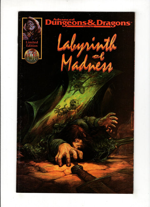 Advanced Dungeons and Dragons: Labyrinth of Madness #1