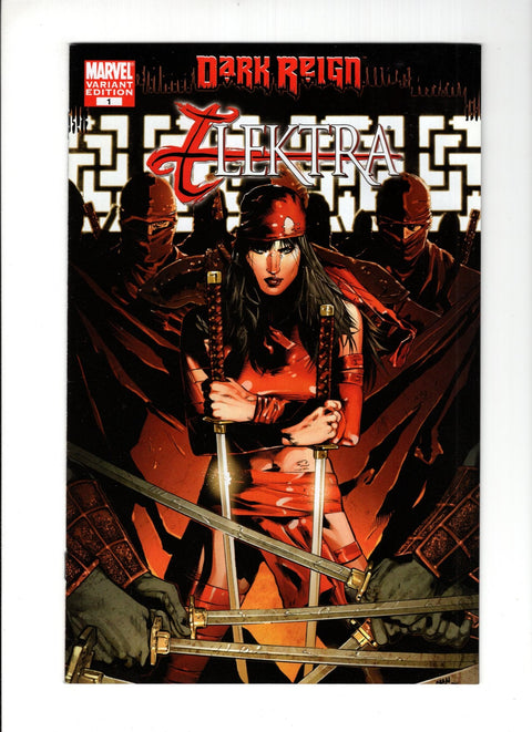 Dark Reign: Elektra #1B