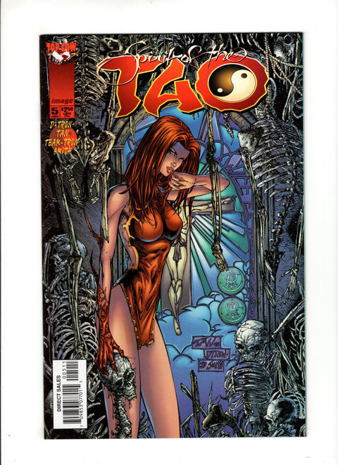 Spirit of the Tao #5