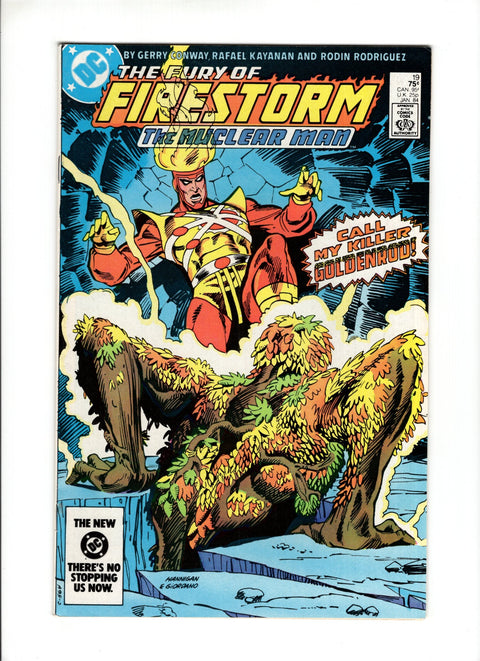 Firestorm, the Nuclear Man, Vol. 2 #19A (1984)   DC Comics 1984