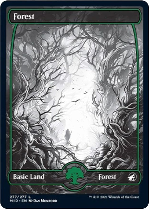 Forest | Foil | MID