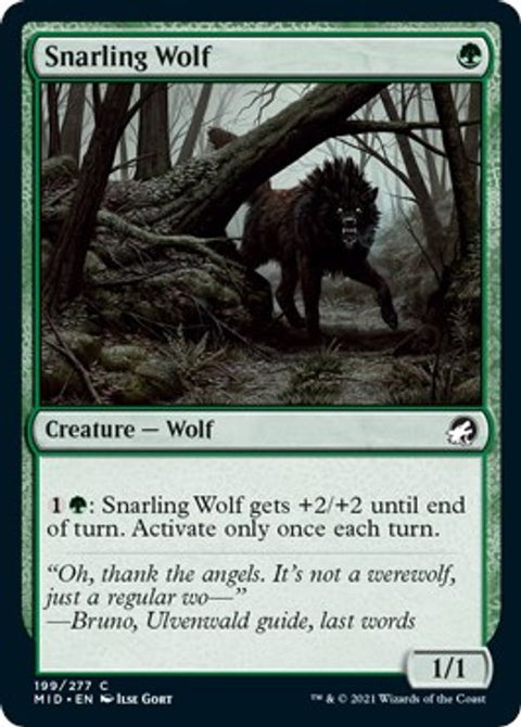 Snarling Wolf | MID