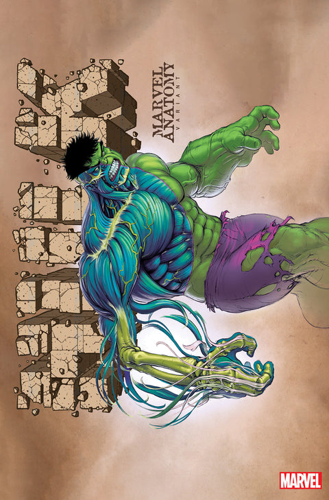 Hulk, Vol. 4 Lobe Marvel Anatomy Variant