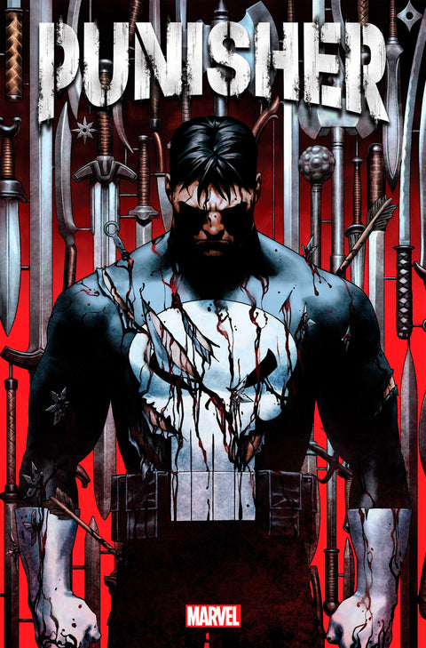 The Punisher, Vol. 13 #1A