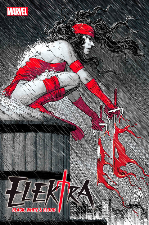 Elektra: Black, White & Blood #1A