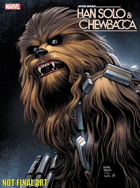 Star Wars: Han Solo & Chewbacca Arthur Adams Cover