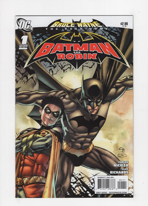 Bruce Wayne: The Road Home: Batman & Robin #1