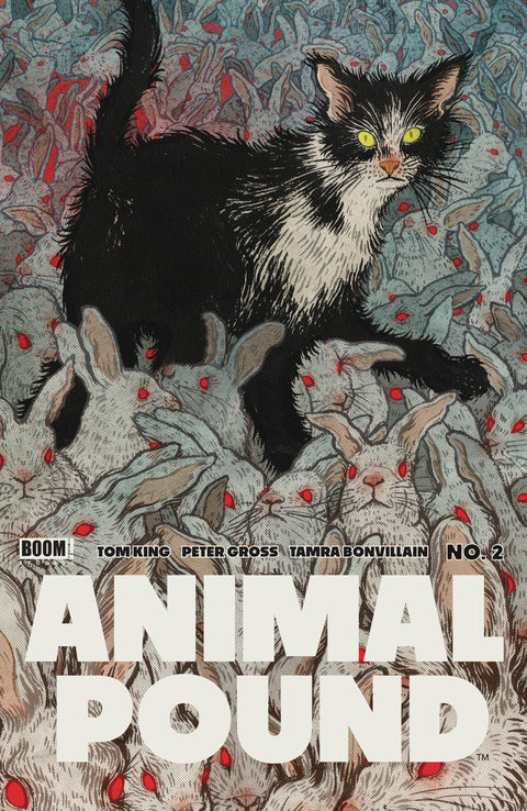 Animal Pound 2 Comic Yuko Shimizu Variant Boom! Studios 2024