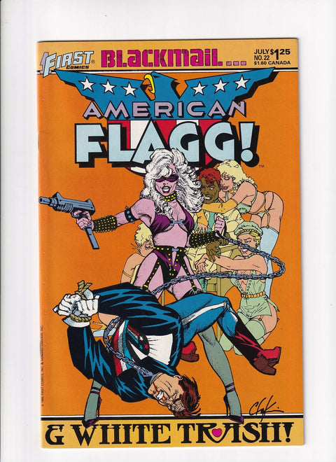American Flagg!, Vol. 1 #22