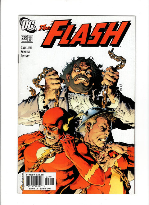 Flash, Vol. 2 #229A