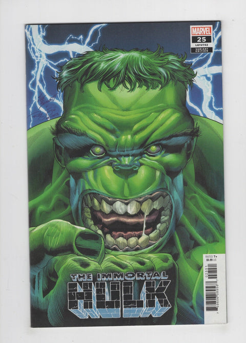 The Immortal Hulk #25E