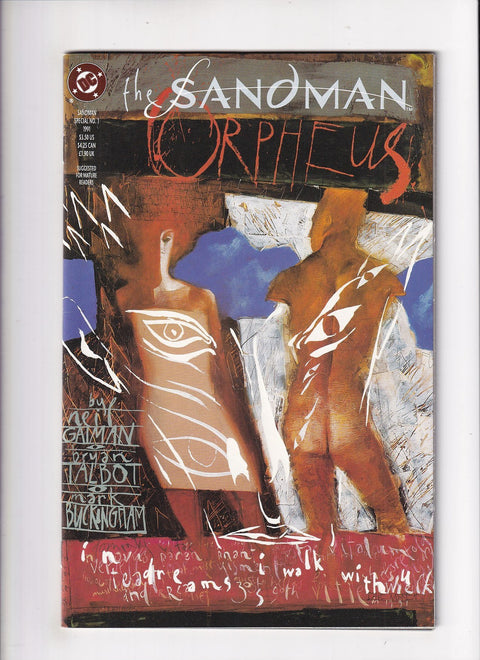 The Sandman Special #1